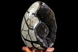 Septarian Dragon Egg Geode - Black Crystals #71999-2